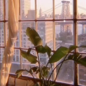 Meet your Posher, Alexandra